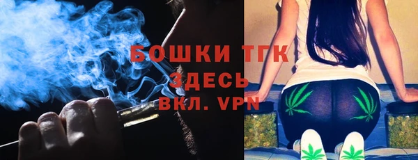 ALPHA PVP Богородицк